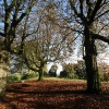 \"Klefkensbos met mooi licht en bomen en Donjon
foto: Gerard Verschooten ? FC\"