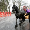 \"Onthulling Godenpijler op Kelfkensbos door oa. Balkenende
foto: Gerard Verschooten ? FC\"