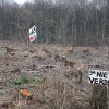 \"Gekapte bomen in Schinveldse bossen bij vliegveld Geilenkirchen\"