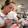 \"assistent tandtechnicus Afbeelding van een meisje dat druk bezig is een kunstgebit te maken. In witte jas.\"