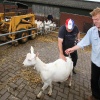 \"Geitenboerderij de Horst, Geiten\"