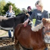 \"Opleiding activiteitenbegeleider Natuur&Welzijn, voor mbo-vakopleidingskrant, Helicon, Energieweg 19, dierverzorging, ezels, paarden\"