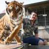 "De tijger en de temmer in het water, Circus Renz bouwt op op Goffertwei"