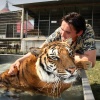 "De tijger en de temmer in het water, Circus Renz bouwt op op Goffertwei"