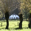 "Ubbergen is groenste gemeente van nederland geworden. Natte Beek"