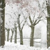 \"Sneeuw in Lindenholt, Broekstraat\"