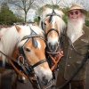 \"Koetsentocht met paarden Groesbeekse hemelvaartmarkt\"