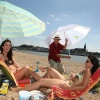 \"Lents Waalstrand, servicestrand. Het Groene Hert stelt parasols, stoelen en een parasolopzetter beschikbaar\"