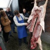 \"museumboerderij de tip in herveld laat een slager zien hoe het varken op de leer wordt gehangen en uitgebeend\"