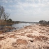 \"overasseltse vennengebied Sint Walrickweg :        vennengebied is maanlandschap geworden door massale bomenkap\"