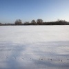 \"Sneeuw, Sneeuwandschap Ooij, Ooy\"