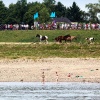 \"Nijmegen, 20-7-2010 . Zomerfeesten, Vierdaagse, Eerste dag, Oosterhoutse dijk\"