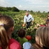 \"Nijmegen, 9-9-2010 . Oogstfeest bij schooltuinen, Schooltuin Wielewaal bij Hollands gemaal\"