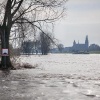 \"Mook, 15-11-2010 . Hoog, hoger water bij pleintje gemeentehuis Mook met zicht op kerk Cuijk\"