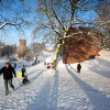 \"Nijmegen, 20-12-2010 .  Sleetje, slee rijden in Konenburgpark\"