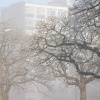 \"Nijmegen, 31-12-2010 . Sneeuw, mist\"