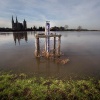 \"Middelaar, Hoger Maaswater, meetpaal\"