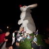 \"Nijmegen, 23-4-2011 . Nacht van het uitkijkkonijn. Doro Krol, de nachtburgemeester, met muziek, wortels en levende konijnen van Marielle van Zijl\"