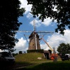 \"Wijchen, 30-6-2011: Rond de Wijchense molen staan drie eiken. Ze moeten weg omdat ze de wind tegenhouden, Brockhorstlaan\"