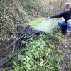 \"Ubbergen, 17-11-2011 . De dam van de bever in het natuurgebied in Ubbergen. bij Notre Dame\"